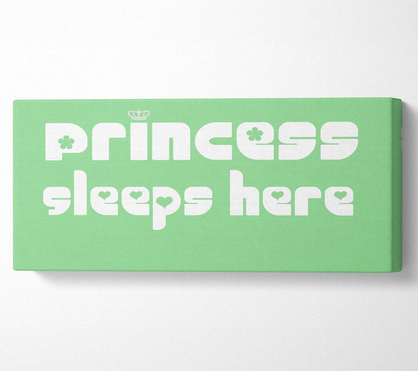 Nursery Quote Princess sleeps 2 Green