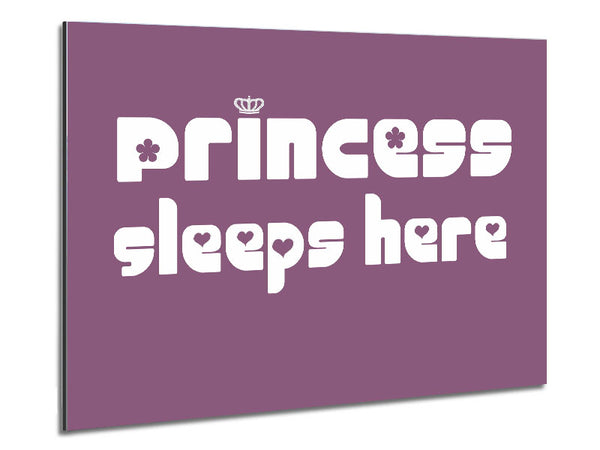 Princess sleeps 2 Dusty Pink Metal Print