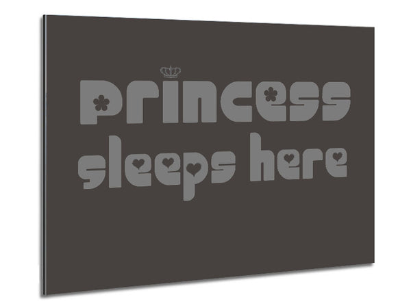 Princess sleeps 2 Chocolate Metal Print