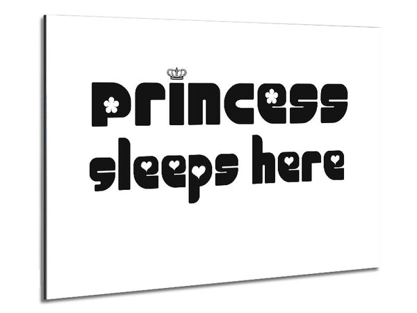 Princesss Sleeps Here 2 White Metal Print