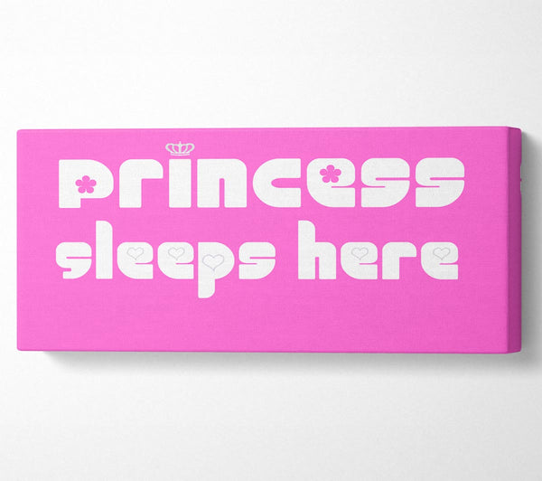 Girls Room Quote Princesss Sleeps Here 2 Vivid Pink