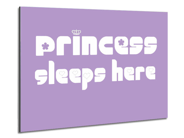 Princesss Sleeps Here 2 Lilac Metal Print