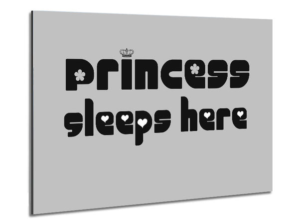 Princesss Sleeps Here 2 Grey Metal Print
