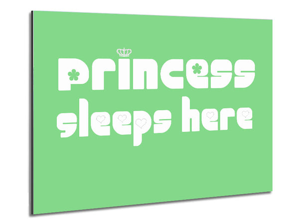 Princesss Sleeps Here 2 Green Metal Print