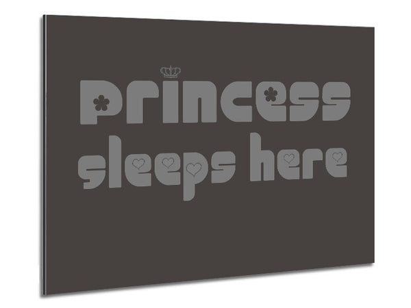 Princesss Sleeps Here 2 Chocolate Metal Print