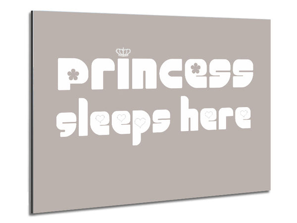 Princesss Sleeps Here 2 Beige Metal Print