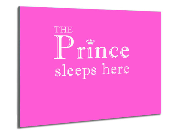 The Prince Sleeps Here Vivid Pink Metal Print