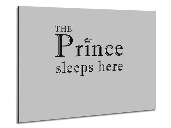 Boys room Quote The Prince Sleeps Here Grey Metal Print