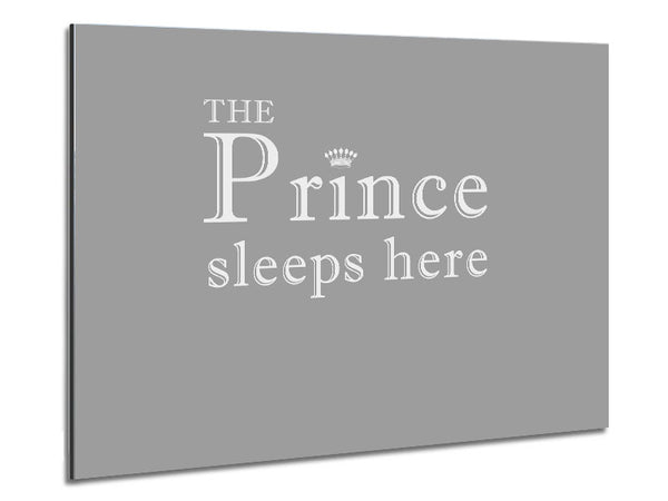 Boys room Quote The Prince Sleeps Here Grey White Metal Print