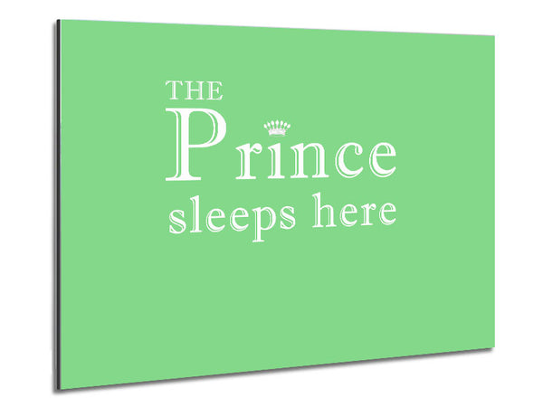 Boys room Quote The Prince Sleeps Here Green Metal Print
