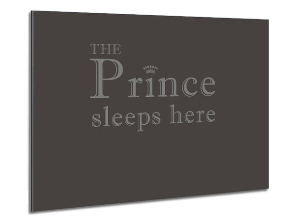 Boys room Quote The Prince Sleeps Here Chocolate Metal Print