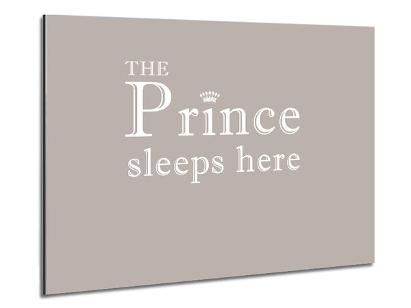 Boys room Quote The Prince Sleeps Here Beige Metal Print