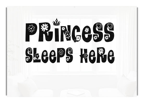 Prinzessin schläft hier, weiß