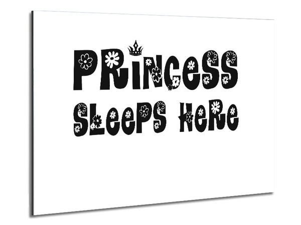 Princesss Sleeps Here White Metal Print