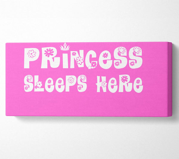 Nursery Quote Princesss Sleeps Here Vivid Pink
