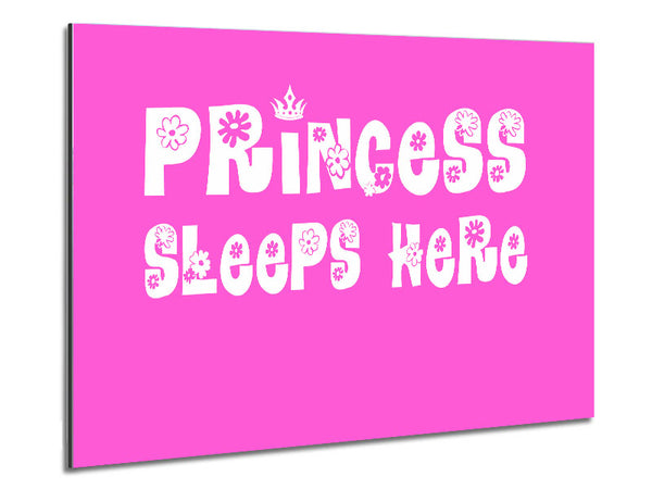 Kinderzimmer Zitat Prinzessin schläft hier Vivid Pink