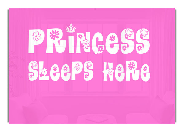 Prinzessin schläft hier, leuchtendes Pink