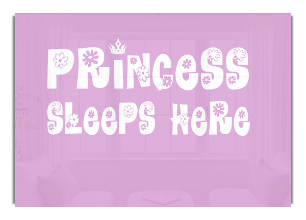 Prinzessin schläft hier, Pink