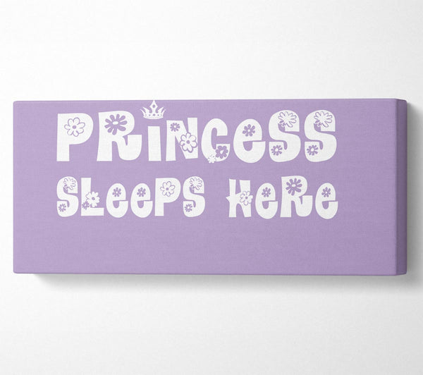 Nursery Quote Princesss Sleeps Here Lilac