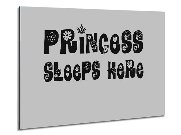 Princesss Sleeps Here Grey Metal Print