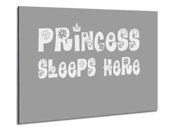 Princesss Sleeps Here Grey White Metal Print