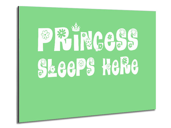 Princesss Sleeps Here Green Metal Print