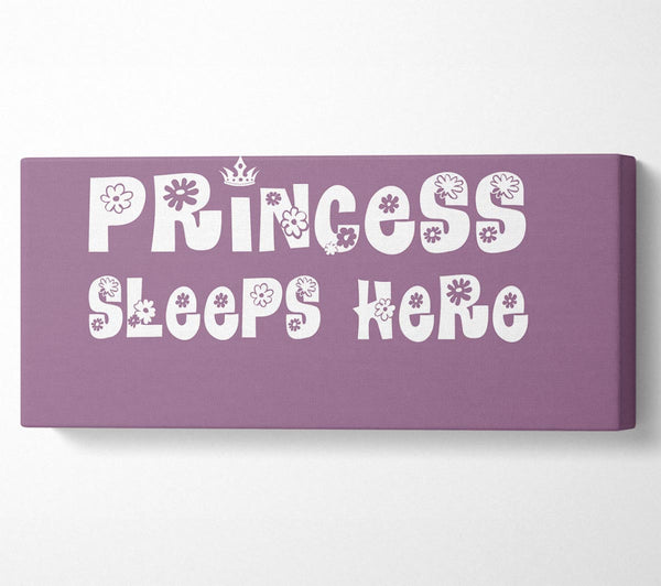 Girls Room Quote Princesss Sleeps Here Dusty Pink