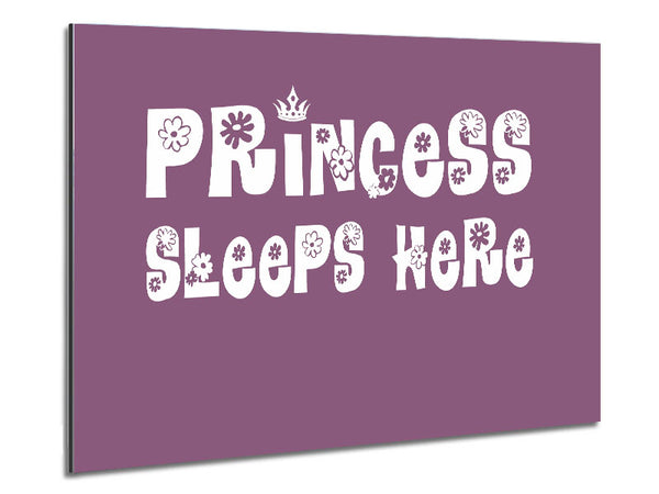 Girls Room Quote Princesss Sleeps Here Dusty Pink Metal Print