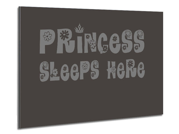 Princesss Sleeps Here Chocolate Metal Print