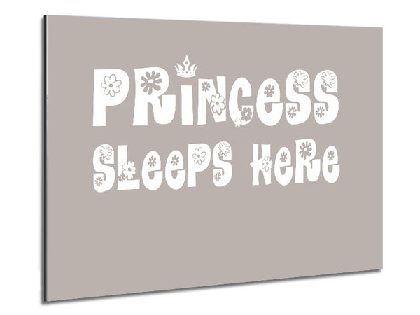 Princesss Sleeps Here Beige Metal Print