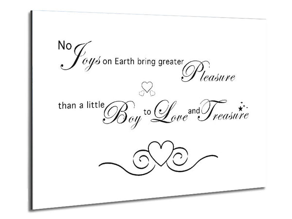 Boys Room Quote No Joys On Earth Bring Pleasure White Metal Print