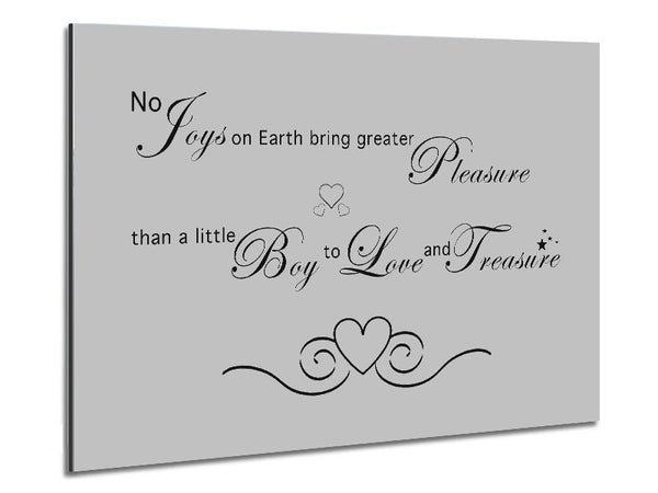 Boys Room Quote No Joys On Earth Bring Pleasure Grey Metal Print