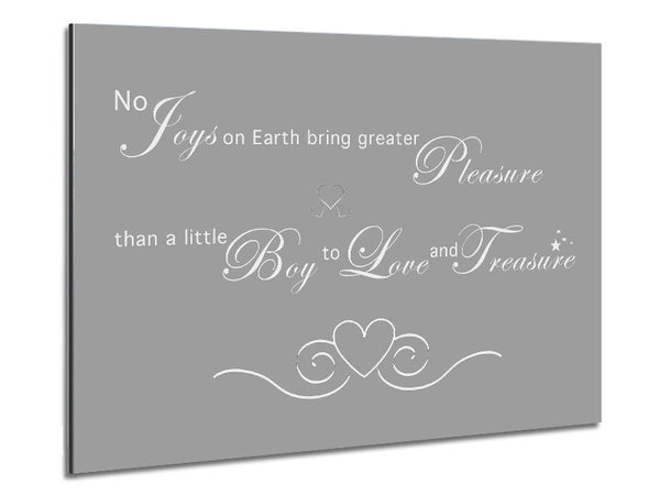 Boys Room Quote No Joys On Earth Bring Pleasure Grey White Metal Print
