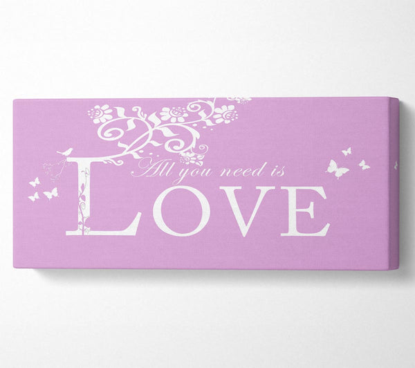 Musikzitat „Alles was du brauchst ist Liebe“ Pink