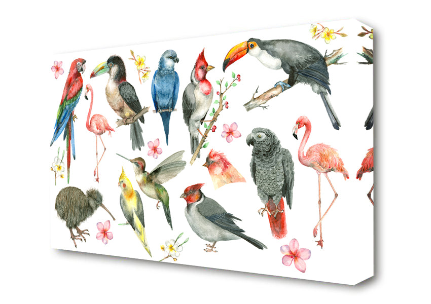  A Canvas Print of A Collage Of Birds Canvas Print