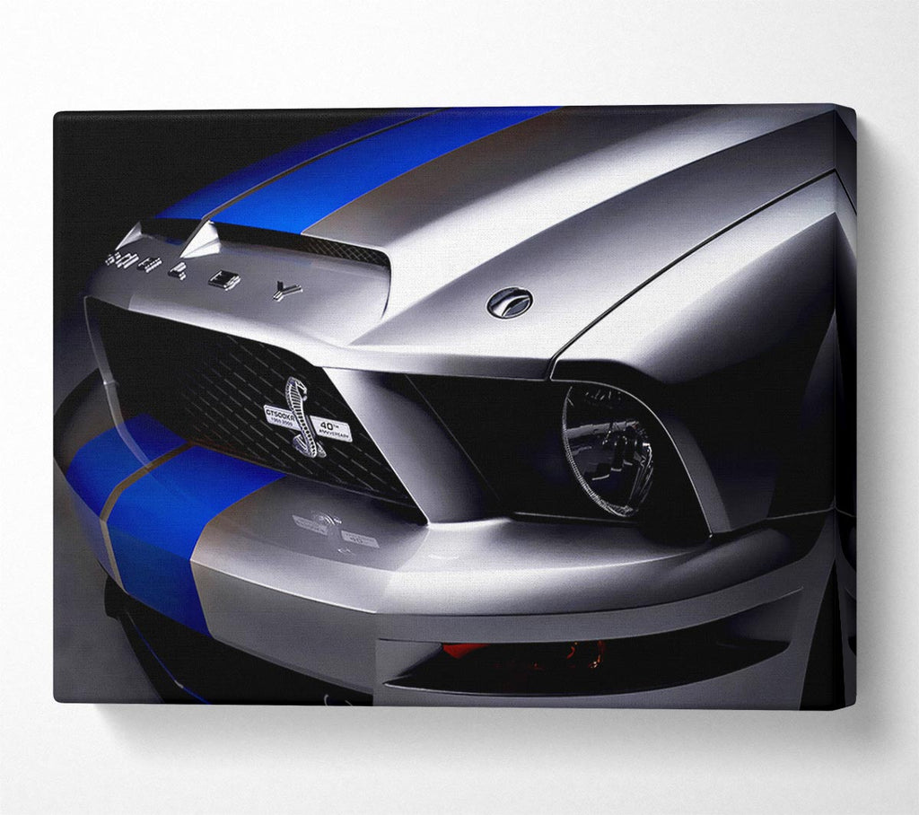 Picture of Shelby Mustang Grill Canvas Print Wall Art