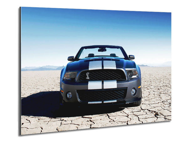 Mustang Shelby Front Profile