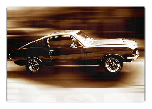Mustang On The Move
