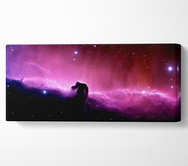 Pink Horsehead Nebula
