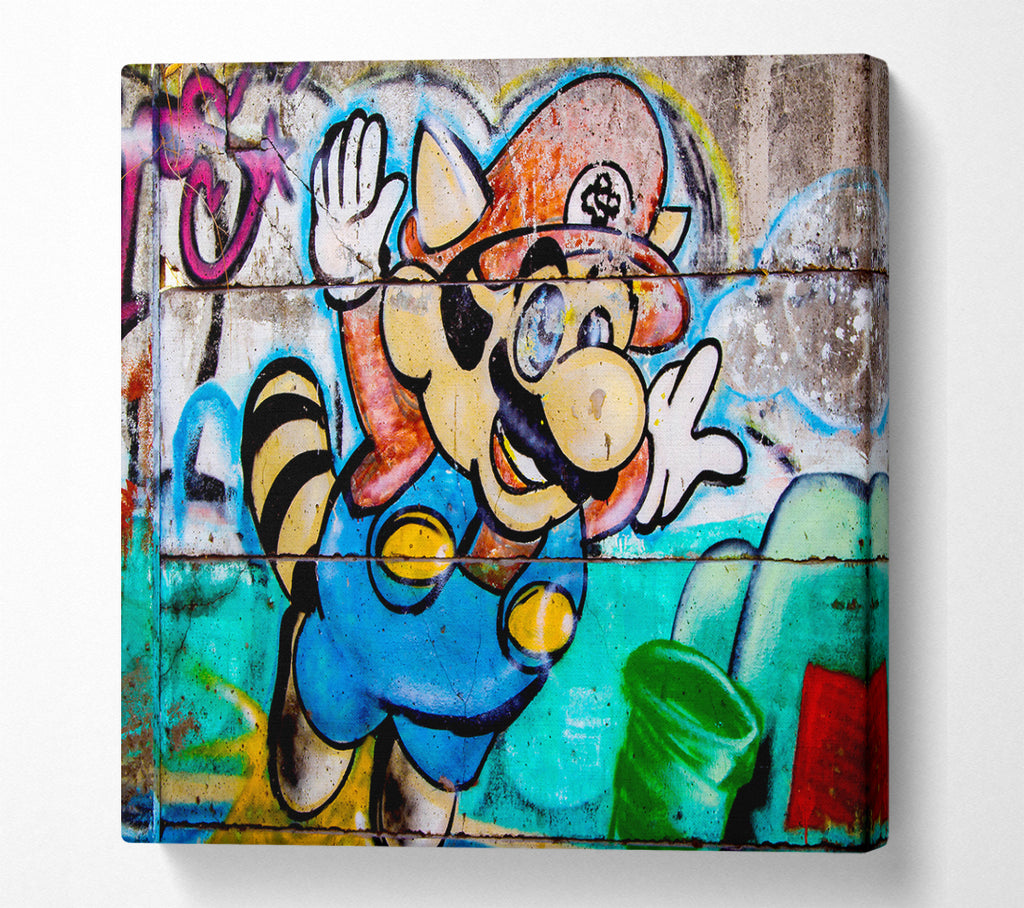 A Square Canvas Print Showing Mario Fly Square Wall Art
