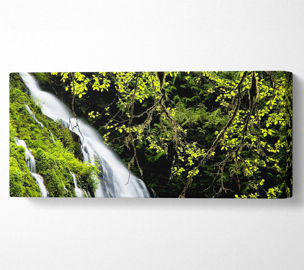 Mountain Waterfall