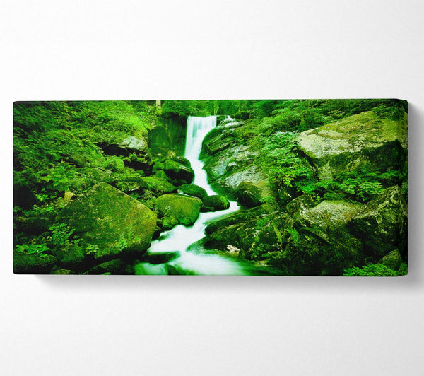 Die Felsen im Waldstrom