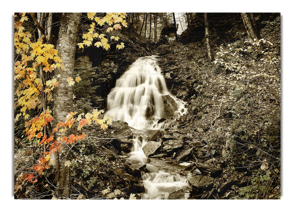 Der versteckte Waldbach
