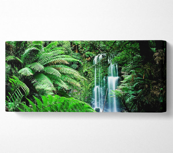 Hidden Woodland Waterfall