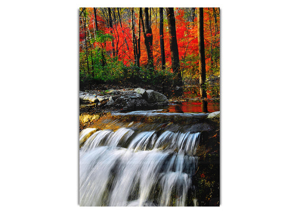 Autumn Waterfall Forest