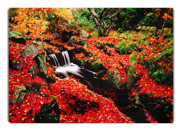 Red Winter Waterfall