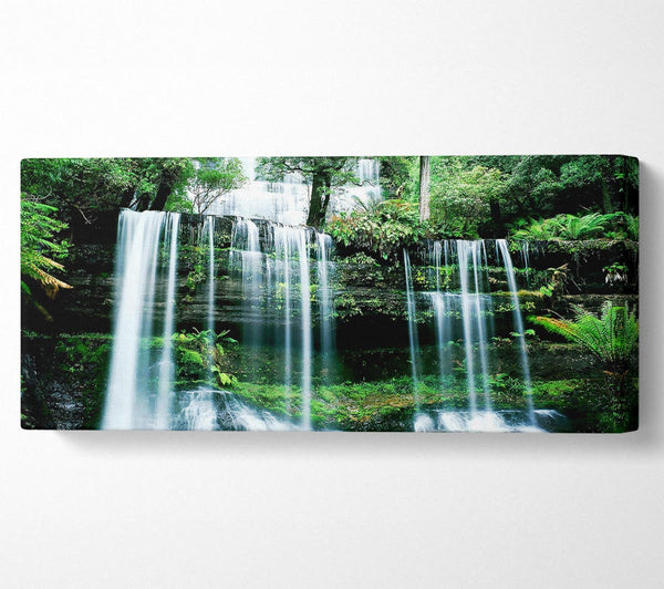 Hidden Forest Waterfall