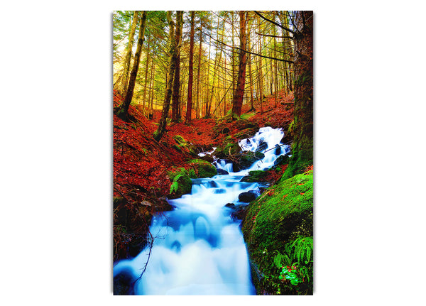 Der herbstliche Waldbach