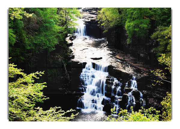 Forest Waterfall