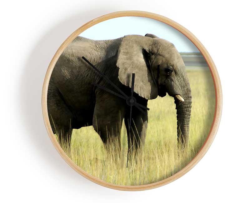 African Elephant Namibia Clock - Wallart-Direct UK